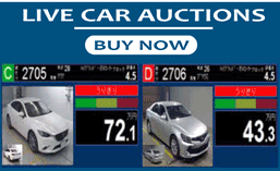 Live Car Auction
